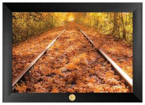 "Train Tracks in the Fall" Framed Art Print